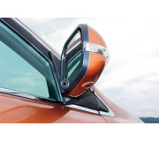 Side View Cameras