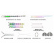 Ambient interior lighting FORS.auto for Audi A6 2019-2022 (Rainbow Kit)-41 LEDs