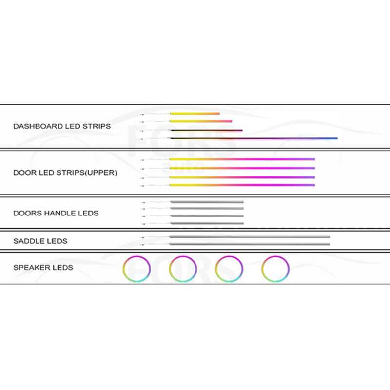 Ambient interior lighting FORS.auto for Ford Edge L 2023 (Rainbow Kit)-27 LEDs