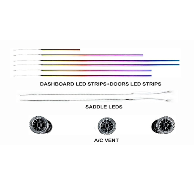 Ambient interior lighting FORS.auto for Nissan Sylphy 2014-2021 (Rainbow Kit)-24 LEDs